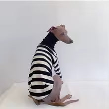 premium black white striped italian greyhound shirt spring summer dog clothing UK Happy Furry
