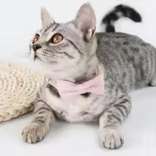 cute bow tie cat collar adjustable pet necklace supplies UK Happy Furry