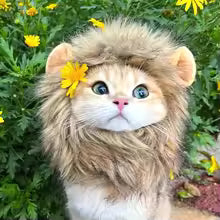 Funny Cosplay Lion Head Mask Cat Dress Up Wig Hat Pet Hat Cap Halloween Party Costume Cat Headwear Accessories Photo Props