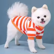 warm winter flannel pet sweater striped chihuahua pomeranian small dogs UK Happy Furry