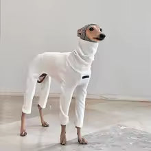 4 legged cotton white jumpsuit italian greyhound whippet spring high neck sweatshirt UK Happy Furry