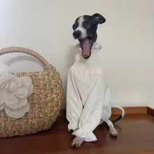 premium princess white bubble skirt greyhound sunscreen long sleeve whippet UK Happy Furry