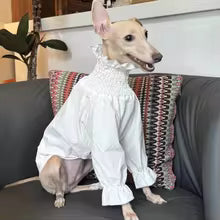 greyhound princess bubble skirt sunscreen long sleeve female dog whippet UK Happy Furry
