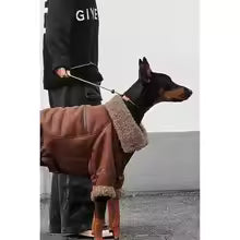 vintage lapel leather fleece lined dog jacket doberman golden retriever winter UK Happy Furry