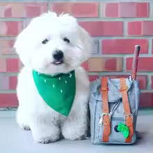 retro dog self carrying backpack hiking travel outdoor walking UK Happy Furry