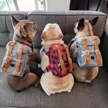 retro British dog self backpack carrying hiking bag travel poop bags UK Happy Furry