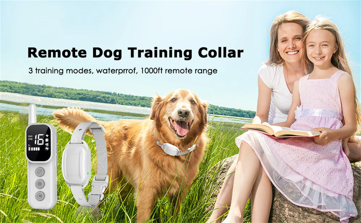 Remote Dog Training Collar Beep Vibration Dual Channel 1000ft IP67 Waterproof Rechargeable LCD Display Adjustable Pet Supplies