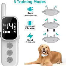 premium remote dog training collar dual channel 1000ft waterproof rechargeable UK Happy Furry