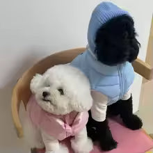 PACK OF 2 Cute Cover Head Dog Calming Earmuffs Warmth Anxiety Relief Pet Knitted Hat Breathable Noise-proof Puppy Cap