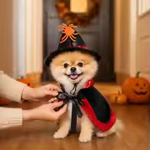 halloween dog cat witch cape costume party cosplay set UK Happy Furry