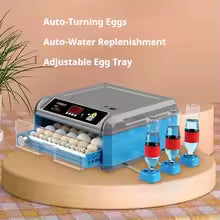 Fully Automatic Mini 24/30/36/48/56/64 Eggs Capacity Chicken Egg Incubator