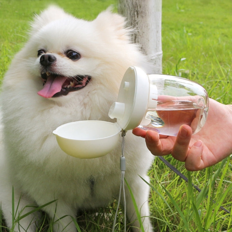 portable dog water bottle travel leak proof puppy drinking UK Happy Furry