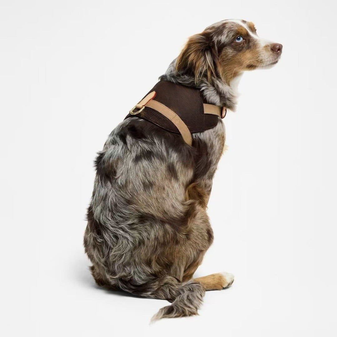 street style fashion pet harness trendy dog cat UK Happy Furry