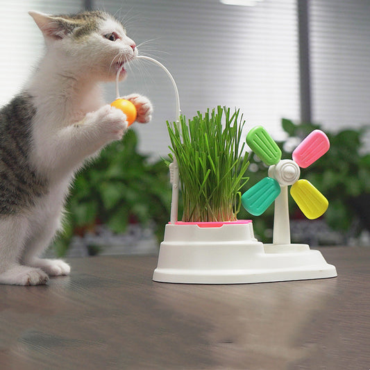 windmill funny cat stick toy desktop grass box UK Happy Furry