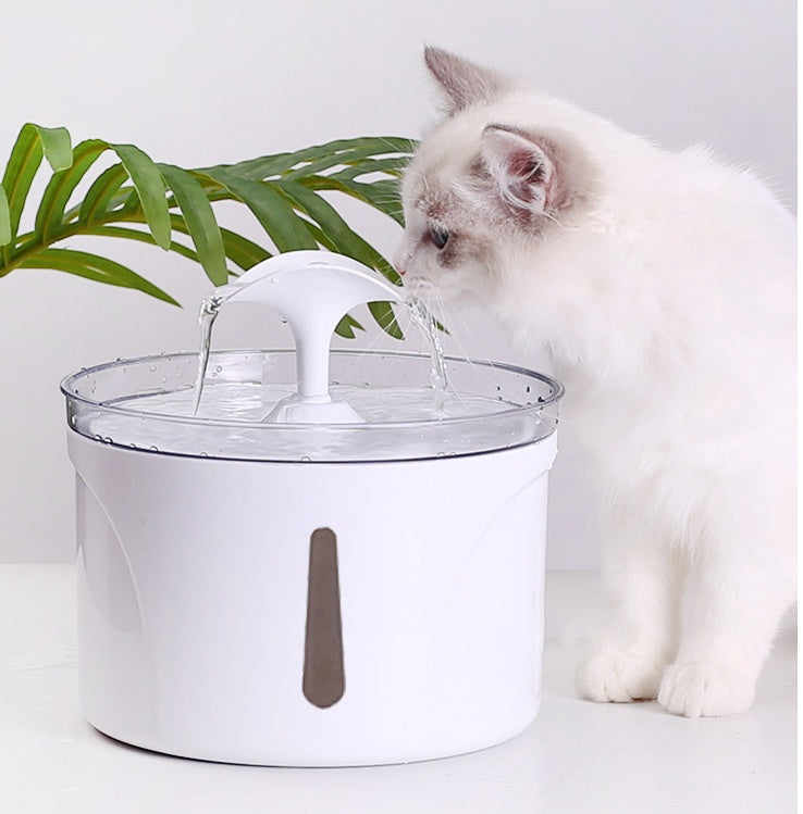 intelligent automatic circulating filter water dispenser pets UK Happy Furry