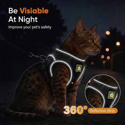 68b24ce54ebaf66434f79ade6e6e05fc