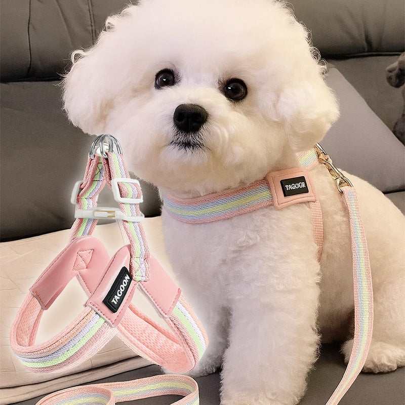 breathable dog leash harness colourful rainbow contrast small medium UK Happy Furry