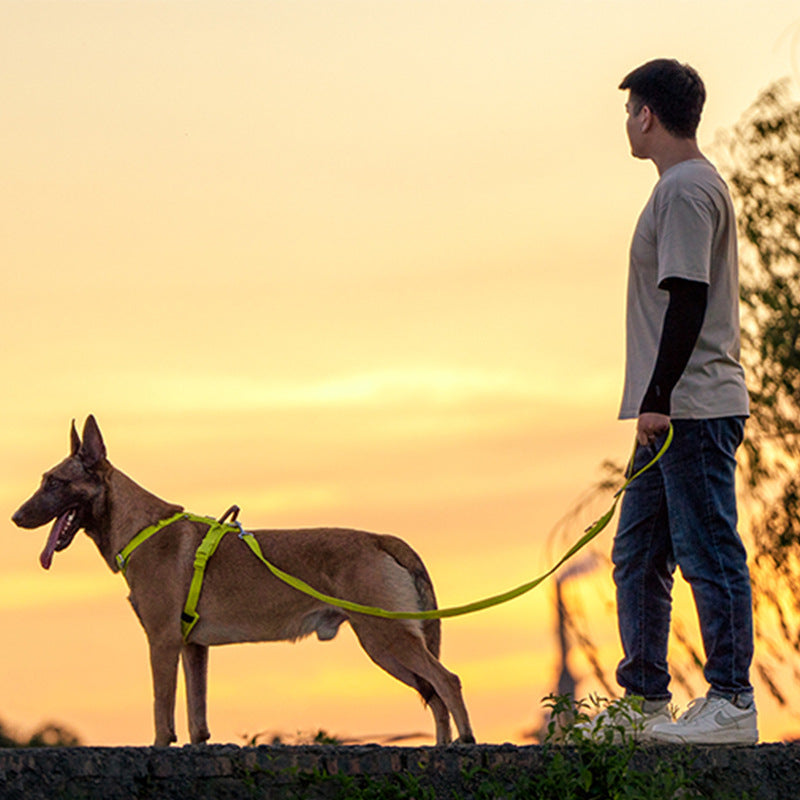 medium large breed dog hand held leash harness UK Happy Furry