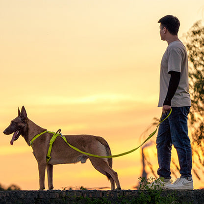 medium large breed dog hand held leash harness UK Happy Furry