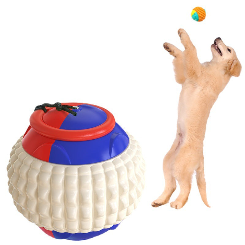 dog training throwing toy balls bite golfers UK Happy Furry
