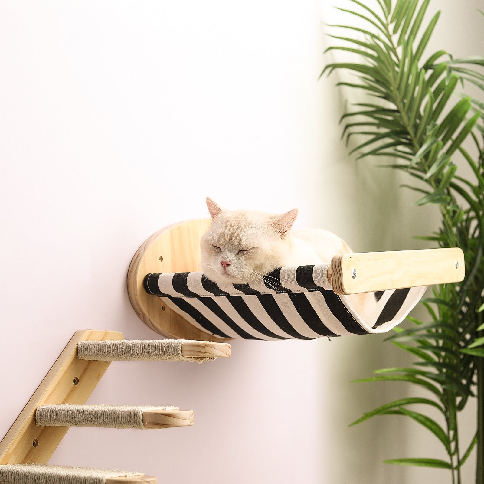 pine wood cat climbing frame wall hammock staircase space capsule UK Happy Furry