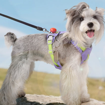 multi functional waterproof quick drying dog harness UK Happy Furry