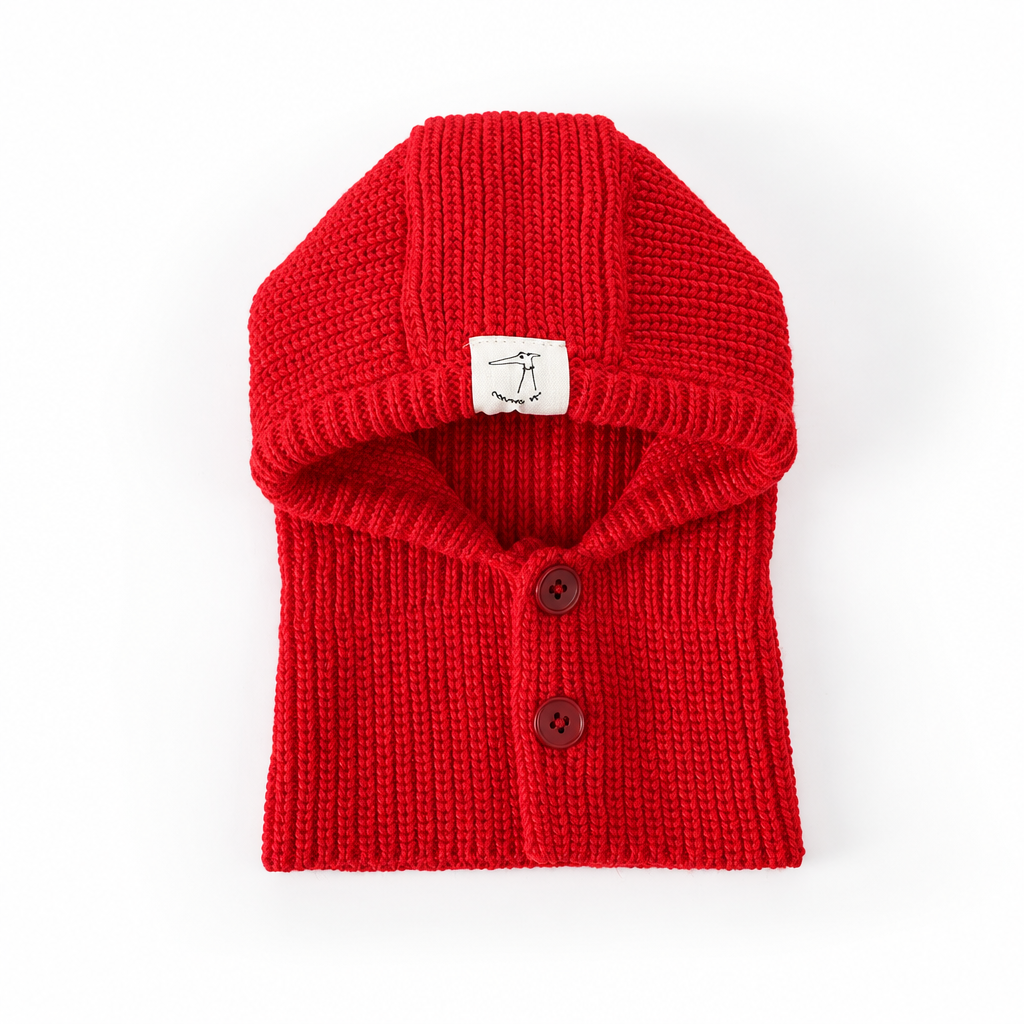 Italian Greyhound wearing a warm knitted hood scarf, Happy Furry UK