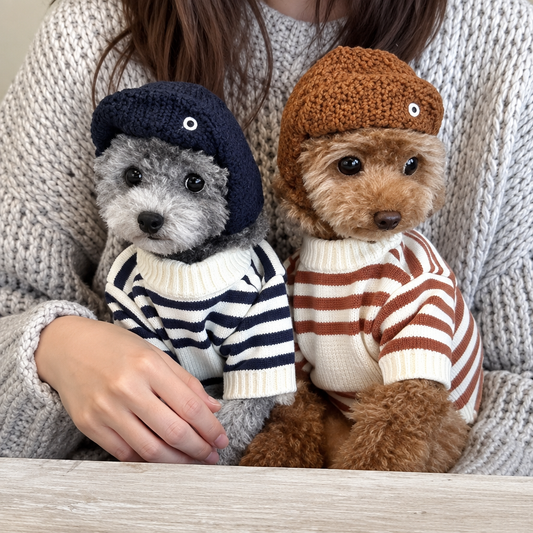 dog sweater cute bear cardigan autumn winter striped knitted pullover small dogs UK Happy Furry