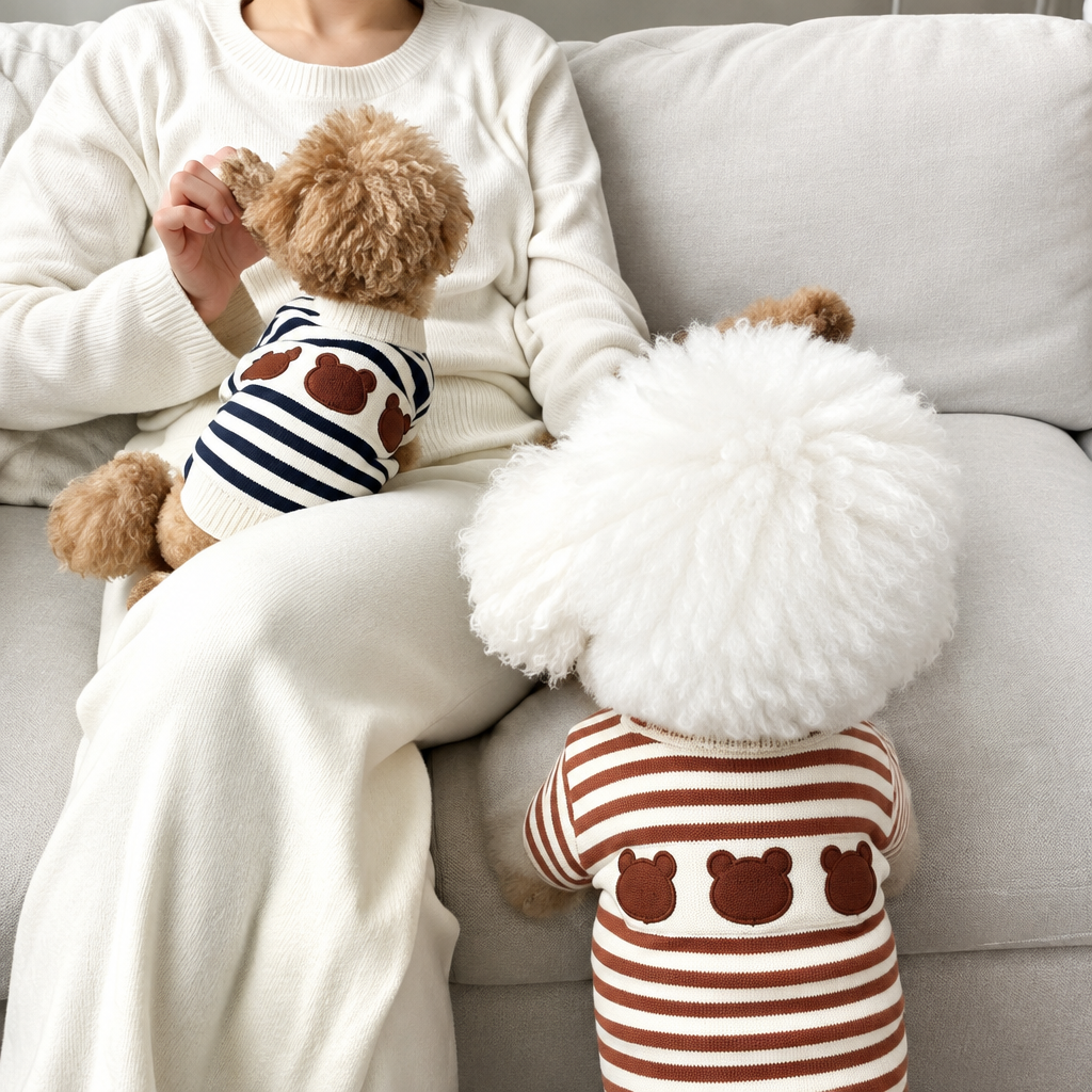 Two small dogs wearing navy and brown striped bear-motif jumpers on a sofa