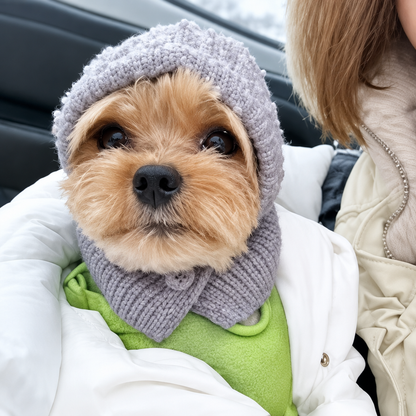 Small tan dog wearing a grey knitted head cover with a buttoned neck