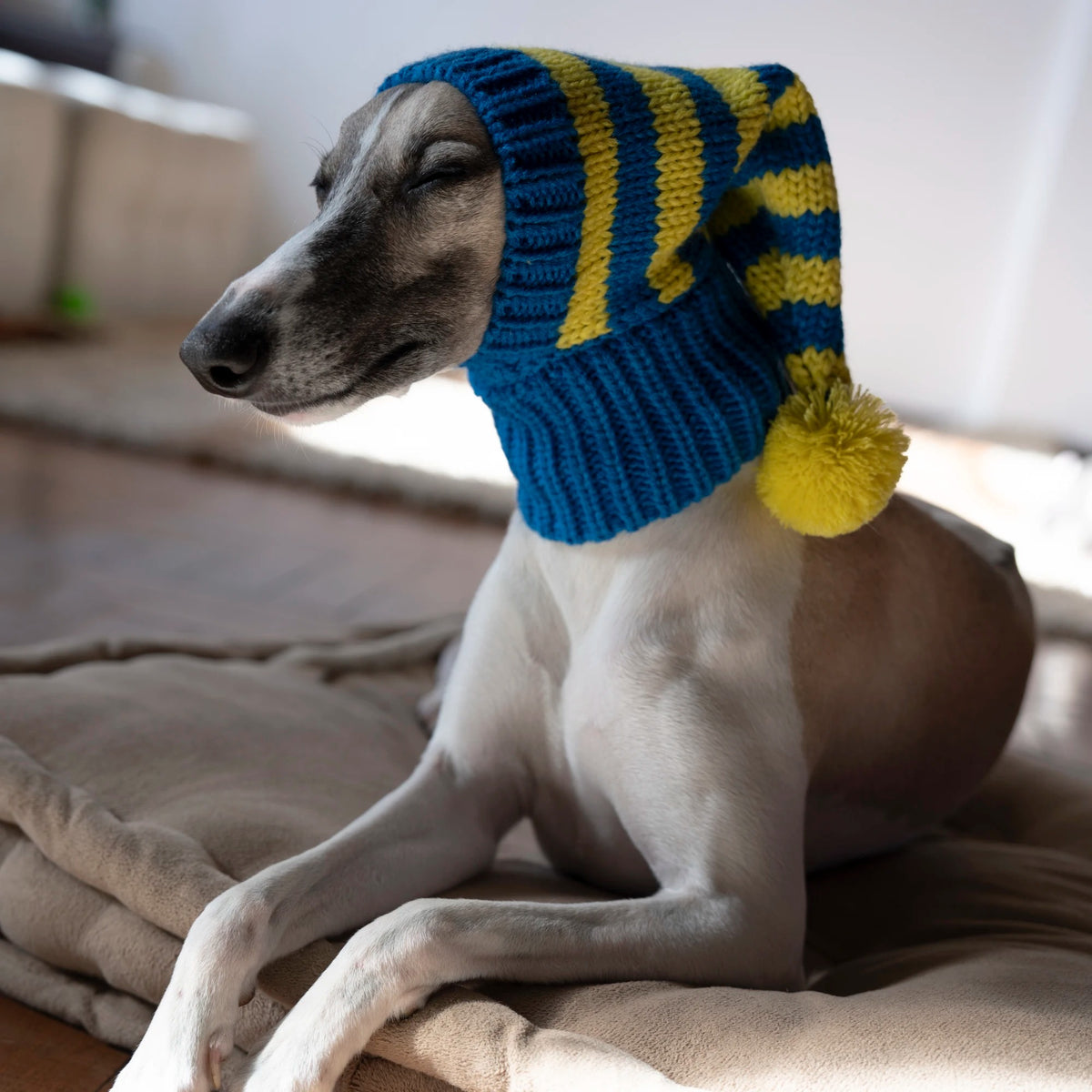 whippet Italian greyhound striped knitted winter pet hat warm UK Happy Furry