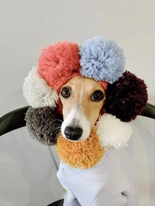 Italian greyhound knitted bead dog winter hat whippet cute UK Happy Furry