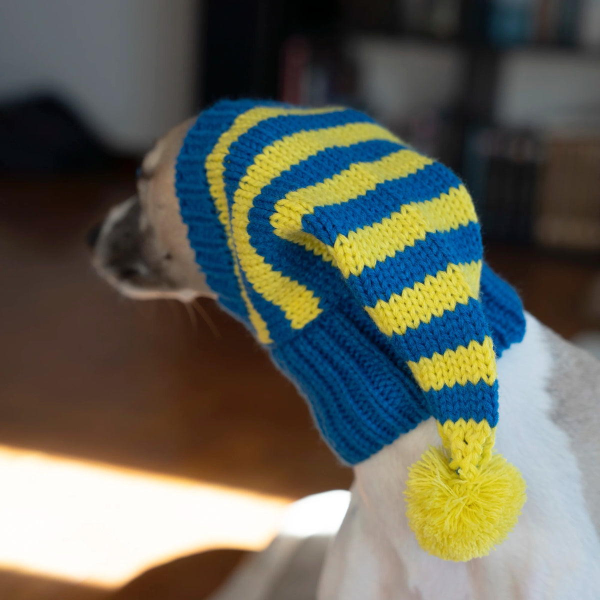 Whippet-Iggy Warm Knitted Pet Hat, Striped, Italian Greyhound, Winter