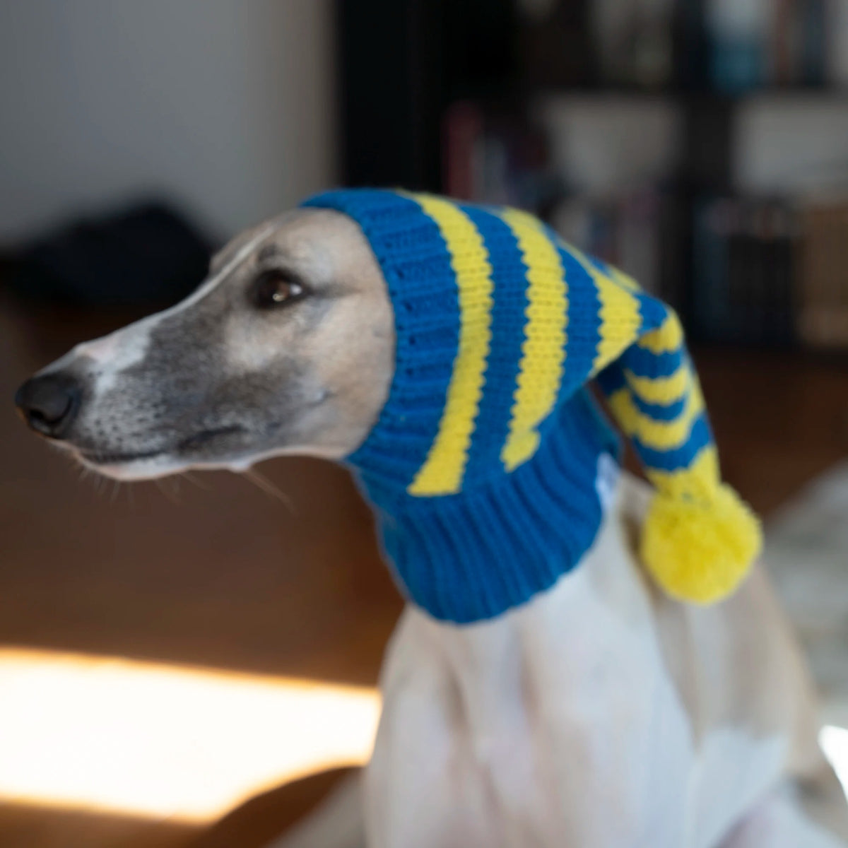 Whippet-Iggy Warm Knitted Pet Hat, Striped, Italian Greyhound, Winter