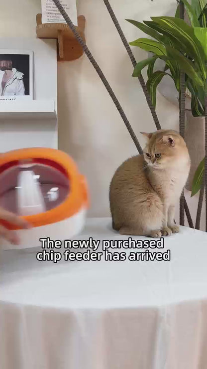RFID automatic pet feeder