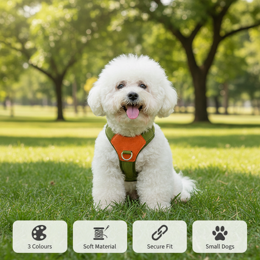 Retro Dog Hand Holding Rope Pet Harness