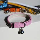 spiked studded leather dog collar rivets adjustable small large UK Happy Furry