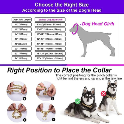 Encryption Dog Ring Golden Chain Cuban Chain Pet Dog Necklace Dog Collar   | FREE SHIPPINGE S