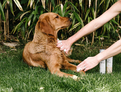 Dry Wash Shampoo for Pets – Soothing & Deodorising   | FREE SHIPPING