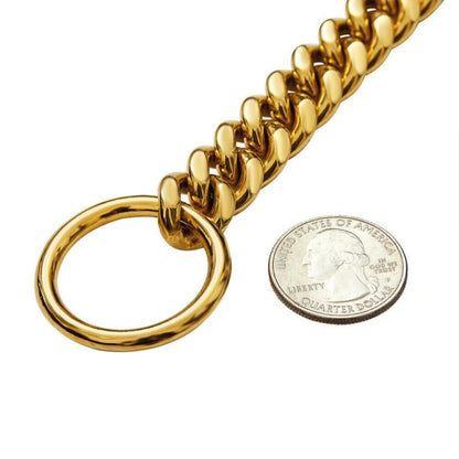 Encryption Dog Ring Golden Chain Cuban Chain Pet Dog Necklace Dog Collar   | FREE SHIPPINGE S